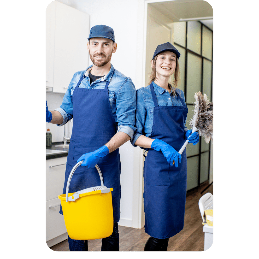 Professional Cleaner